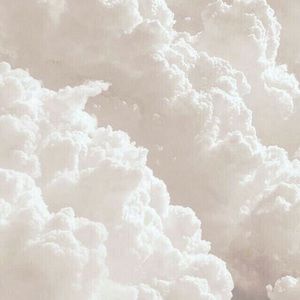 Meet your Posher, Priscila